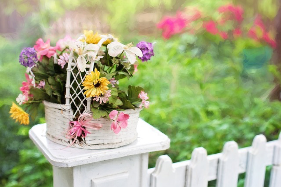 action-fence-curb-appeal