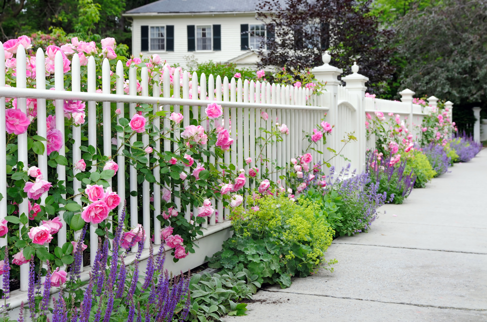 white-iron-fence