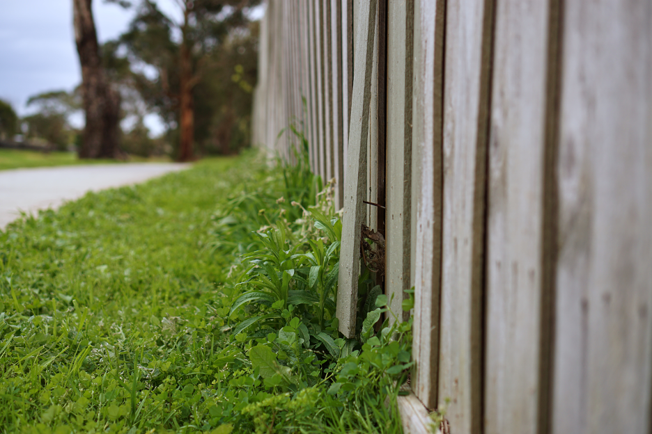 Fence repair company in Des Plaines Illinois