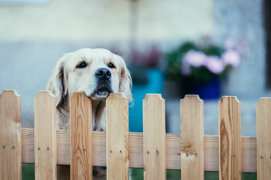 Residential fence company in Buffalo Grove Illinois